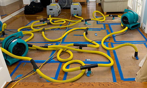 Professional Burst Pipe Water Damage technician working in Ada, MN